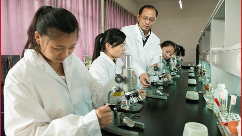 北京中药饮片出口报关代理
