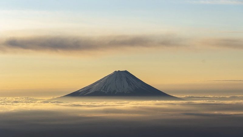 浙江原料药生产厂家哪家好