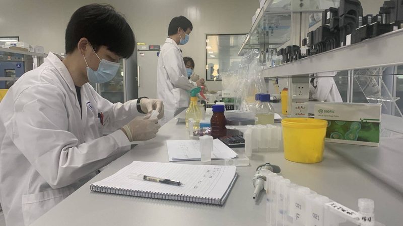 植物提取物行业：揭秘十大品牌厂家的核心竞争力